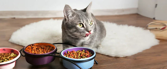 Mama Kabı Seçerken Bilinmesi Gerekenler