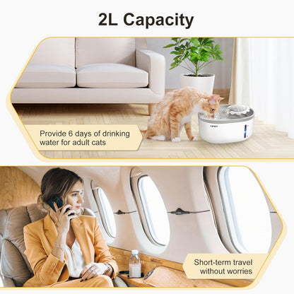 kedi ve köpek için İçme Suyu Sebili